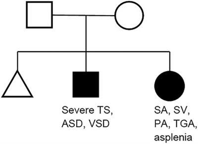 A genetic and developmental biological approach for a family with complex congenital heart diseases—evidence of digenic inheritance